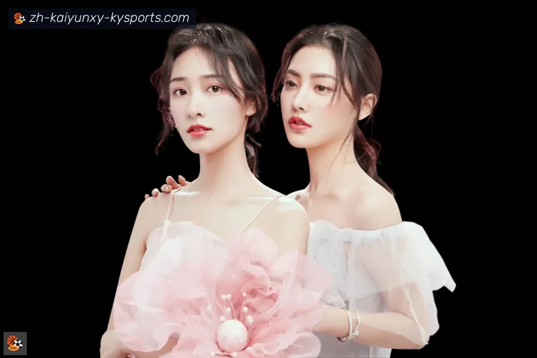 ky开云全站APP