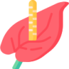 ky开云 logo
