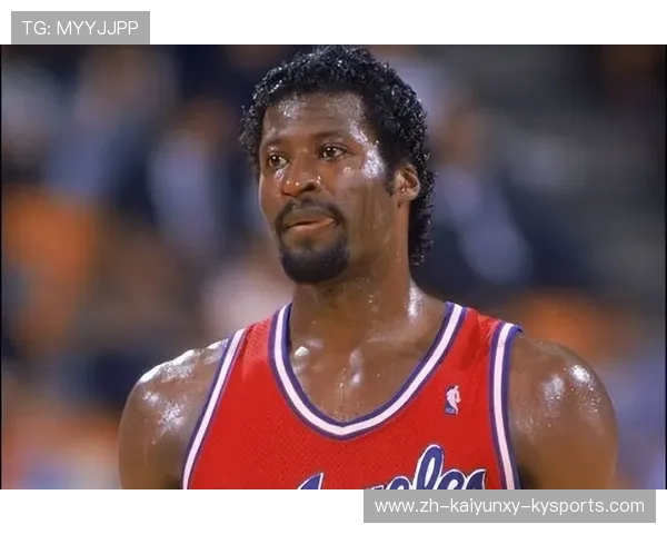 NBA篮板王榜单及顶级篮板手解析